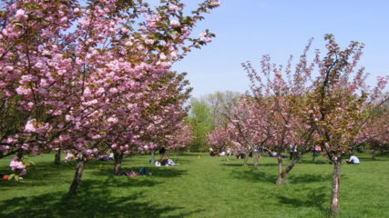 Bucharest weather in April