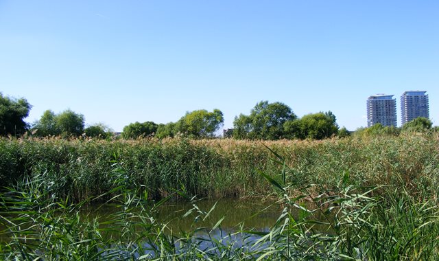 Delta Bucharest around blocks of flats