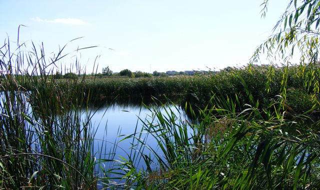 Fishing is forbidden in Bucharest Delta