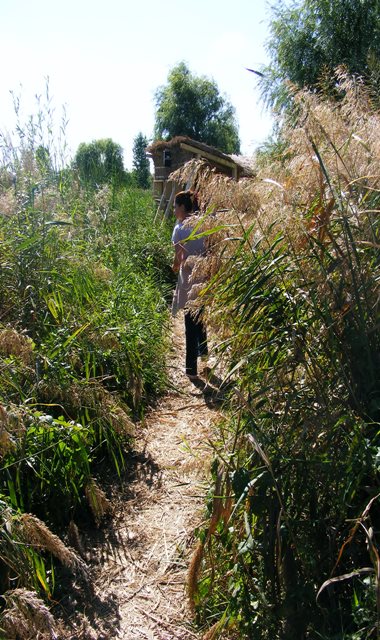 A guide to Bucharest Delta you will find at every corner, you only need to explore