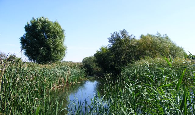 Bucharest Delta Natural Beauty lake