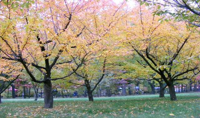 TO SEE IN BUCHAREST IN OCTOBER TO SEE IN BUCHAREST IN OCTOBER