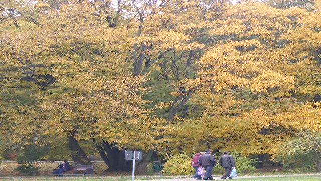 NATURE IN OCTOBER WEATHER IN BUCHAREST NATURE IN OCTOBER WEATHER IN BUCHAREST