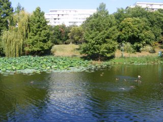 CIRCUS PARK BUCHAREST