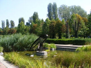 BOTANICAL GARDEN BUCHAREST