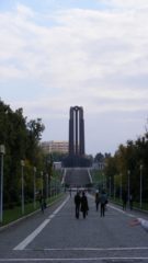 WHAT TO DO IN CAROL PARK