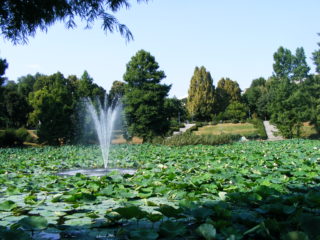Circus Park Bucharest