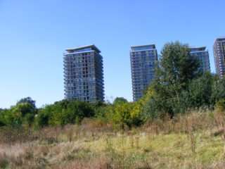 Bucharest Natural Delta in the city