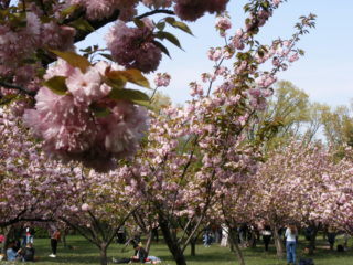 HERASTRAU PARK BUCHAREST