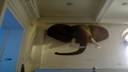 NATURAL HISTORY MUSEUM ROMANIA