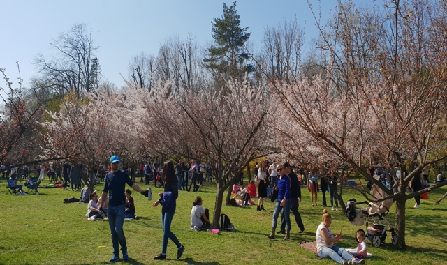 Bucharest is a safe city to travel