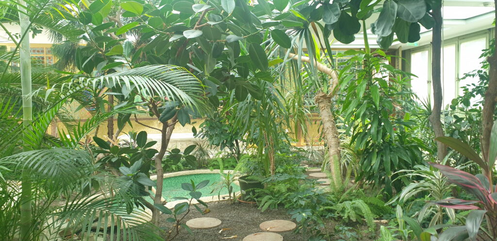 Ceausescu had a winter exotic garden inside his House in Bucharest