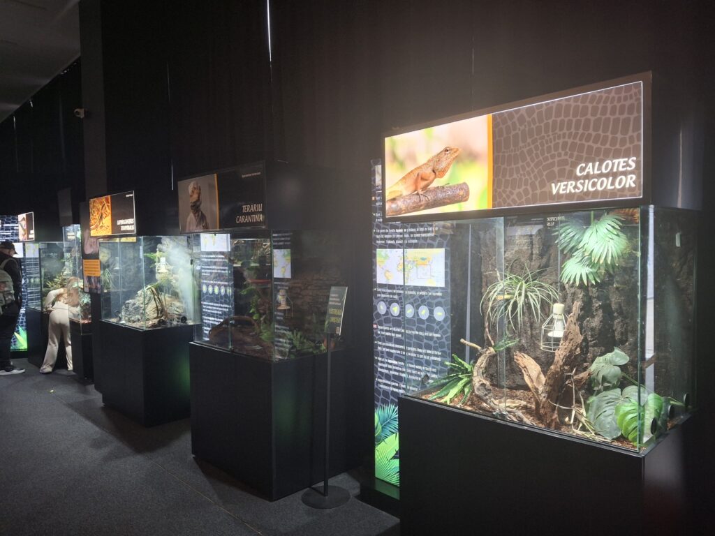 permanent exhibition alive reptiles Reptiland Bucharest Exhibition with live reptiles