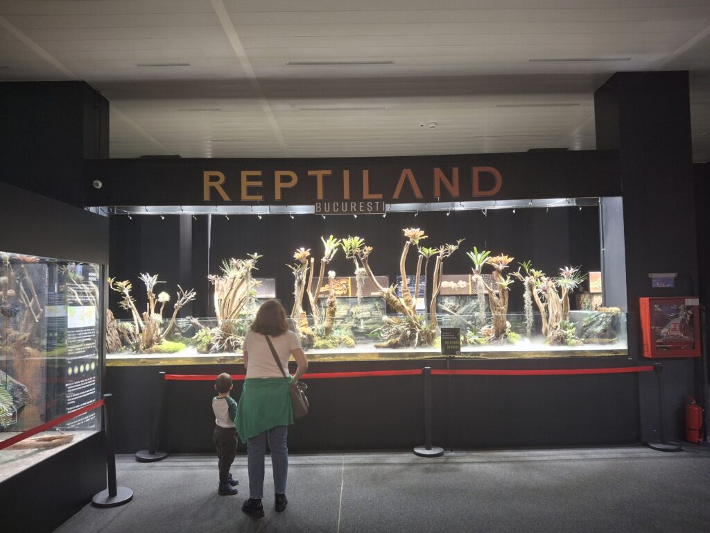 alive reptiles exhibit at Reptiland Nature at Reptiland Bucharest