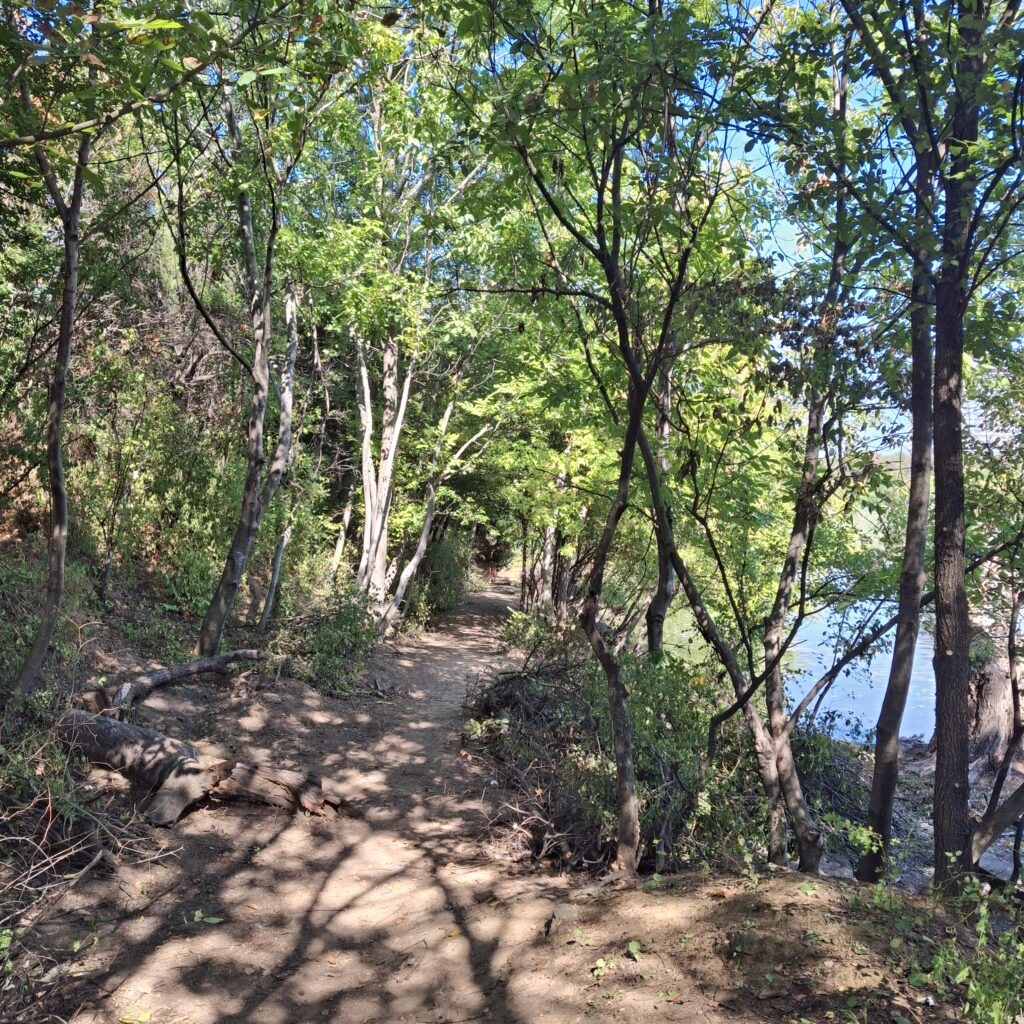 Entrance to Petricani Meadow Bucharest