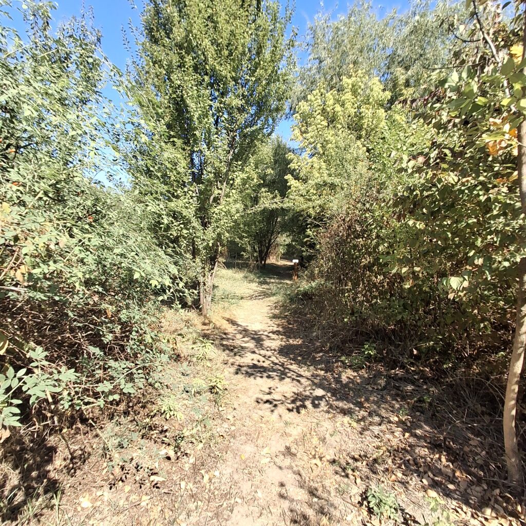 Bucharest Petricani meadow protected natural park
