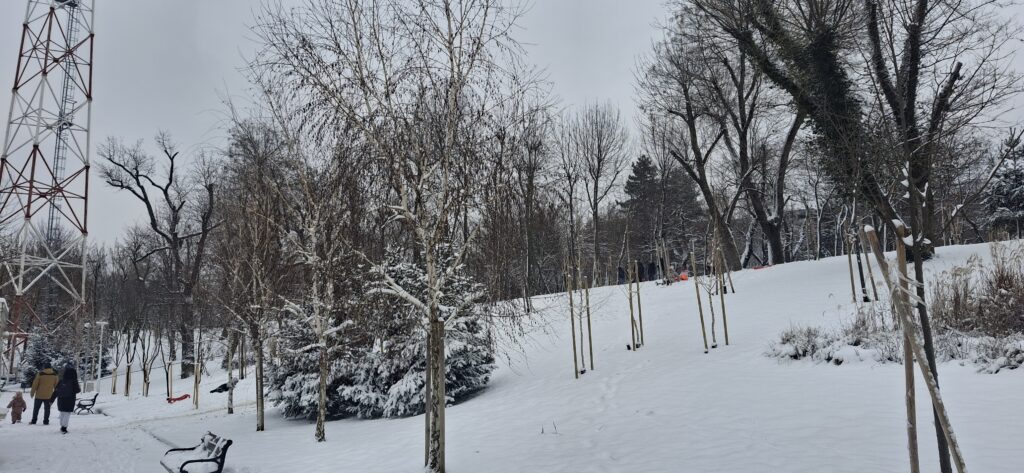 Snow in January in Bucharest